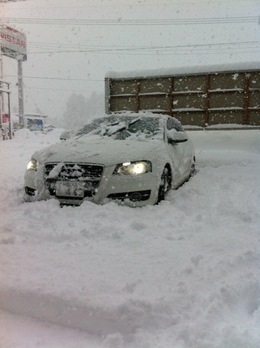 audi%E5%86%99%E7%9C%9F.JPG